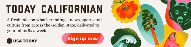 Crosswords Promo January 2025